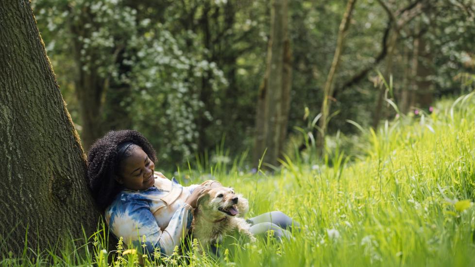 pollen allergies in dogs; a pet parent and her dog sits beneath a tree.